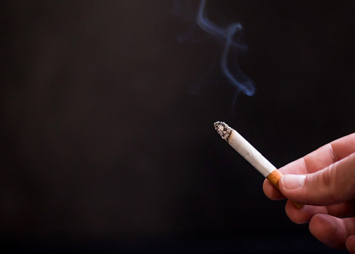 Cek Harga Eceran Rokok Terbaru, Nomor 8 Paling Mahal 