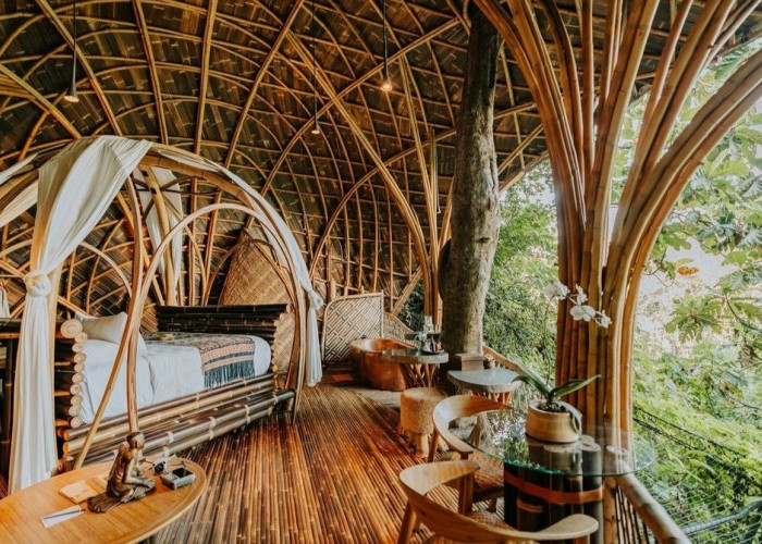 7 Hotel Tematik di Bali Untuk Liburan Akhir Tahun Bareng Keluarga, No.3 Sensasi Menginap Bersama Hewan Safari