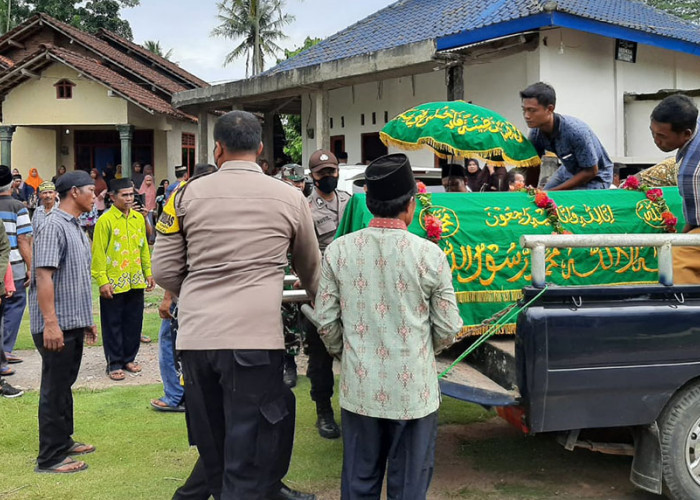 Dua Warga Lampung Timur Tewas Diserang Gajah Liar TNWK 