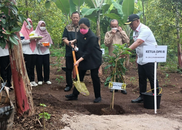 Kunker di Lamsel, Ketua DPR RI Tanam Pohon Alpukat Hingga Beri Bantuan
