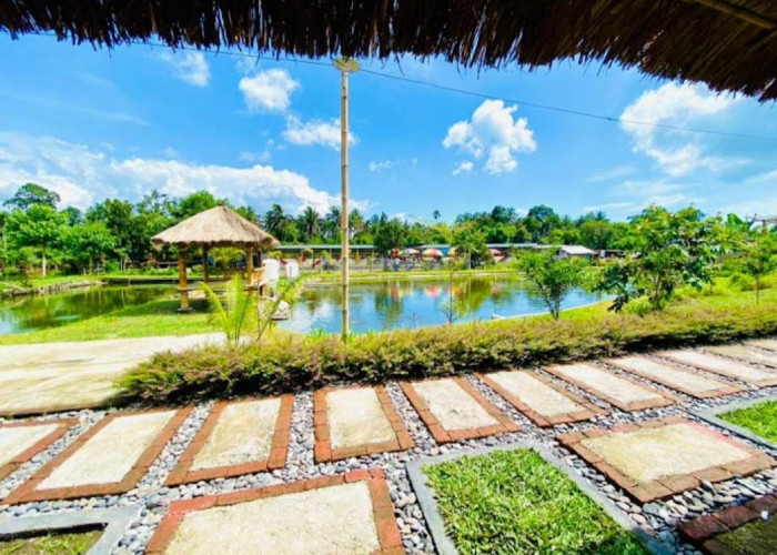 Naik Bus DAMRI bisa Kunjungi 3 Destinasi Wisata di Lombok Timur, Cakep Banget Pemandangannya dan Instagramable