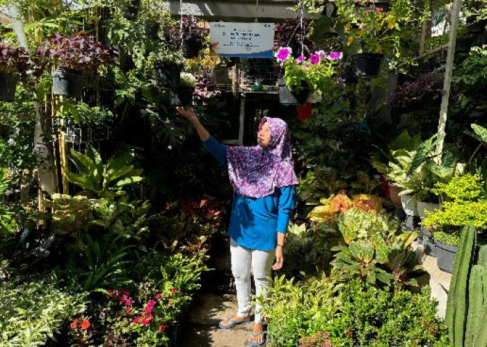Cerita Klaster Bunga Bratang Binaan BRI di Kota Surabaya, Kini Punya Tempat Usaha Nyaman