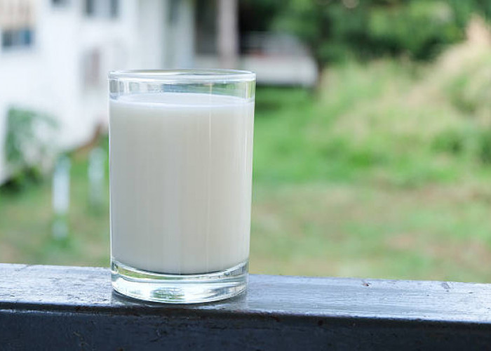 Wajib Diketahui, Ini 4 Manfaat Minum Susu untuk Orang Dewasa