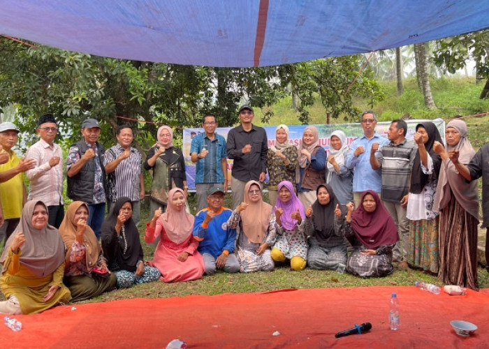 Wujud Hilirisasi Batu Bara untuk Pertanian, PTBA-UGM Uji Coba Pupuk Kalium Humat di Sawahlunto
