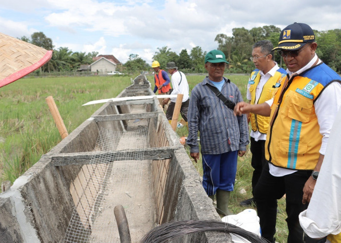 Irigasi Gantung Rawajitu Rusak, BBWS Percepat Perbaikan Untuk Jaga Pasokan Air Petani
