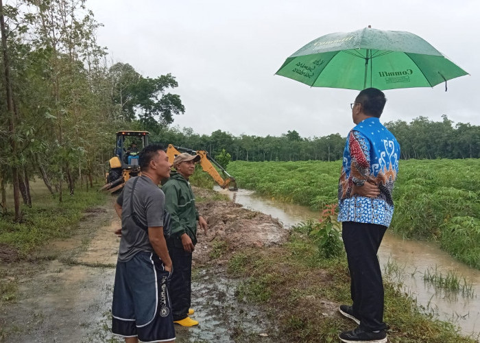 Lakukan Tindakan Cepat, Pj. Bupati Firsada Tinjau Penanganan Banjir Akibat Hujan Deras