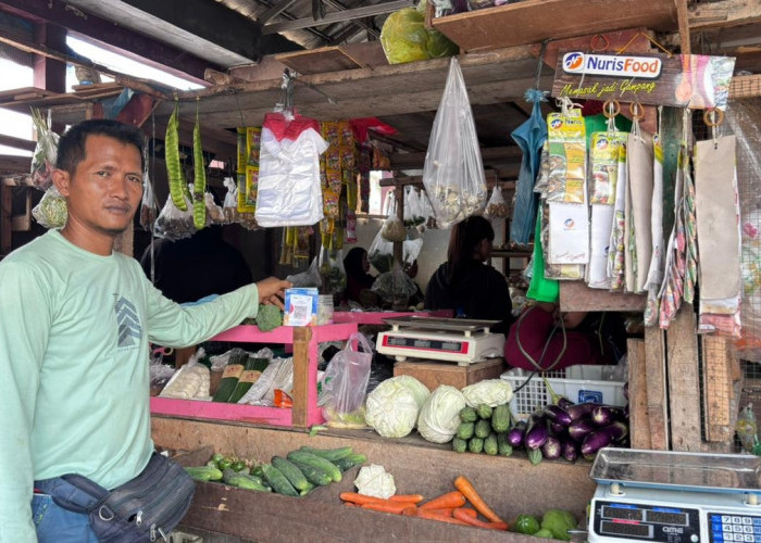 Dulu Kuli Bangunan, Kini Andi Sukses Besarkan Sayur Qita Berkat KUR BRI