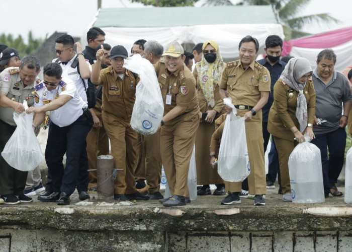 Benih Bandeng dan Kakap Merah Dilepas di Perairan Kuala Teladas 