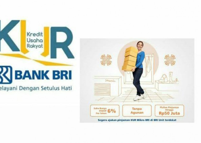 Update Dokumen yang Dibutuhkan Agar Pinjaman Saldo Dana KUR Bank BRI Lolos Verifikasi
