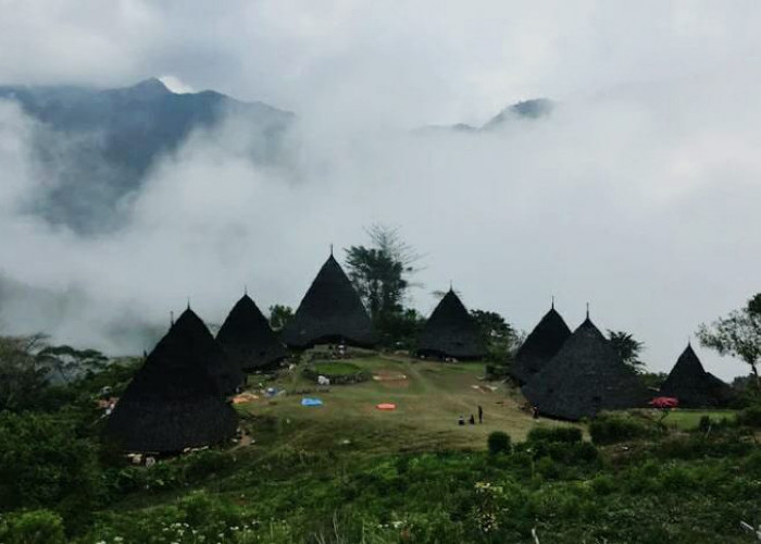 Serpihan Surga wisata di Nusa Tenggara Timur, Ada Desa Adat Wae Rebo