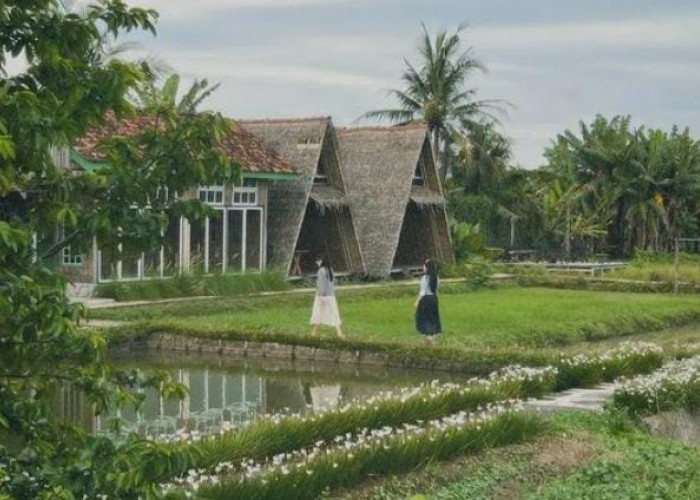 Wajib Dikunjungi Saat Liburan Nataru! Inilah Destinasi Wisata ala Puncak Bogor di Lampung 