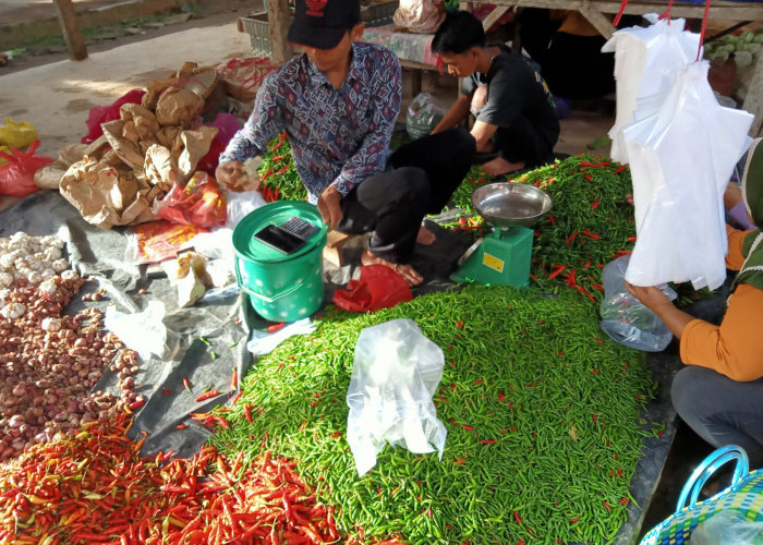 Tiga Bahan Pangan Strategis Langsung Ludes Terjual di Bazar Pasar Murah Pemkot Metro