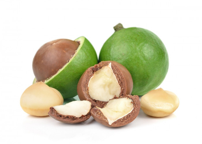 Mengenal Kacang Macadamia, Dikenal Termahal di Dunia dan Miliki Banyak Manfaat