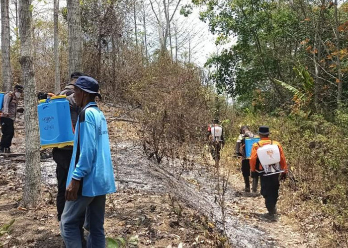 Alami Kendala Padamkan Api di Lokasi Kebakaran Lahan Tanggamus Lampung, Tim Gabungan Harus Gunakan Alat Ini 