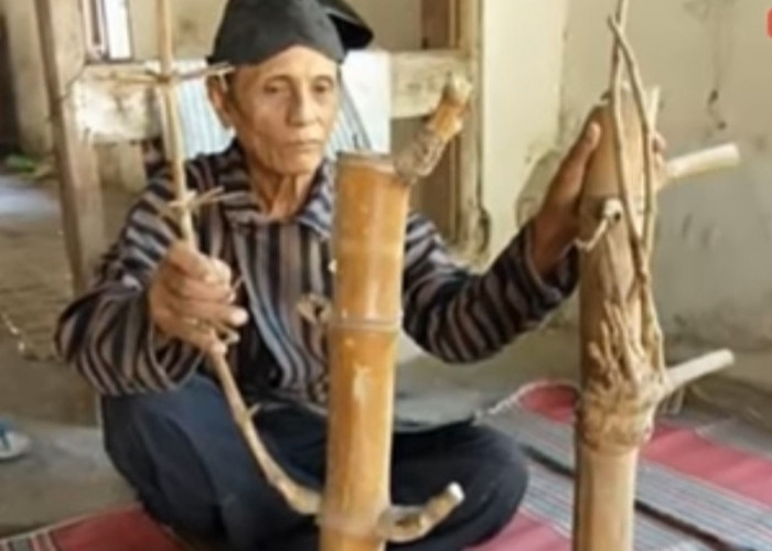 10 Jenis Bambu Petuk Konon Miliki Tuah Mistis, Ada yang Dipercaya Dapat Menarik Lawan Jenis