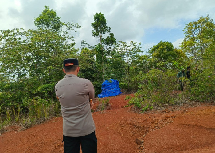 Harimau Sumatera yang Ganggu Warga di Pesisir Barat Akhirnya Terperangkap