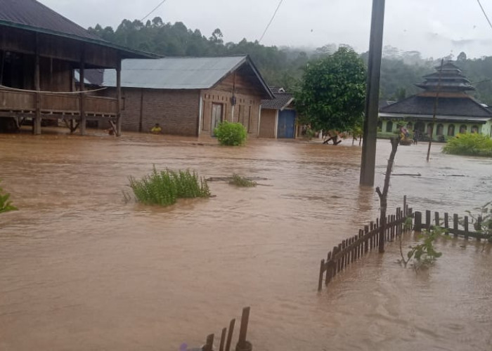 Puluhan Rumah di BNS Lampung Barat Terendam Banjir, Dua Lainnya Terkena Material Longsor