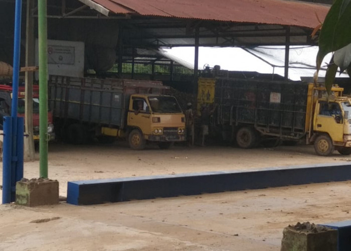 Tekanan Pasar Kian Berat, Pabrik Tapioka di Way Kanan Bertahan di Tengah Harga Anjlok