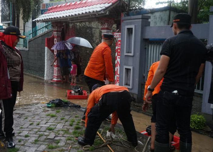 Dapat Laporan, Wali Kota Bandar Lampung Langsung Tinjau Jalanan Banjir, PT Pelindo Dapat Atensi Dari BPBD