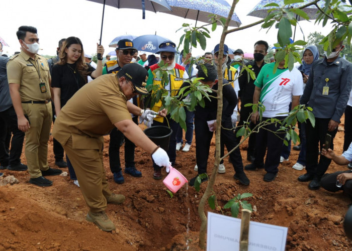 Gubernur Arinal Djunaidi Tanam Ribuan Bibit Pohon di Bendungan Margatiga
