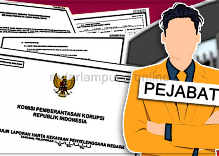 Intip Daftar Harta Bupati Walikota di Kalimantan Selatan, Ada yang Susut Drastis, Kok Bisa?