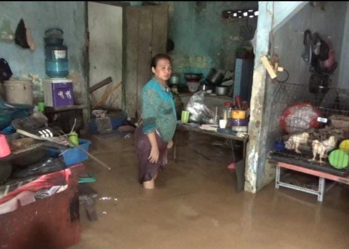 Air Capai 1,5 Meter, Warga Kelurahan Panjang Keluhkan dalam Sebulan Empat Kali Banjir