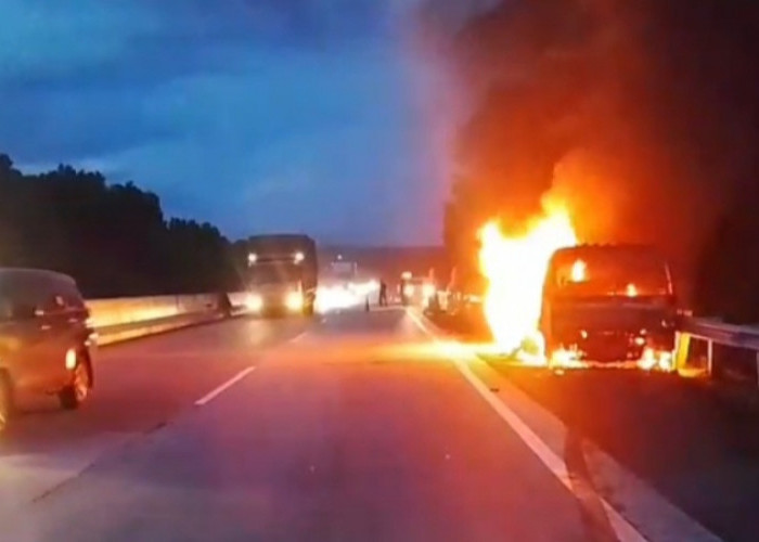Rugi Ratusan Juta, Mobil Towing Pengangkut Berat Terbakar di Tol Lampung