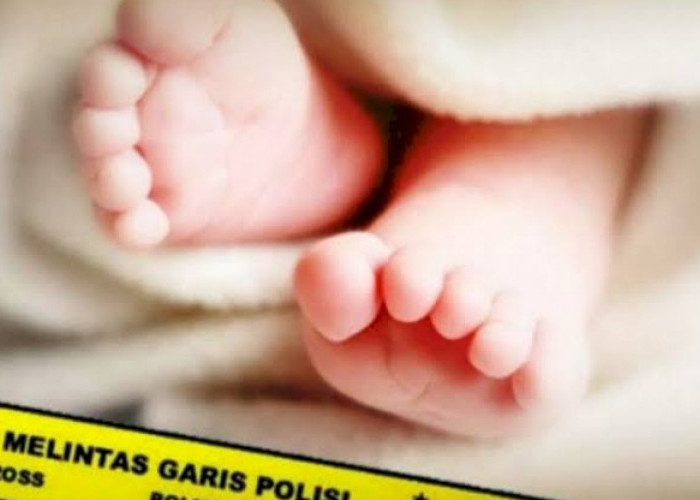 Geger! Warga Gadingrejo Temukan Mayat Bayi di Kolam Bekas Pembuangan Sampah