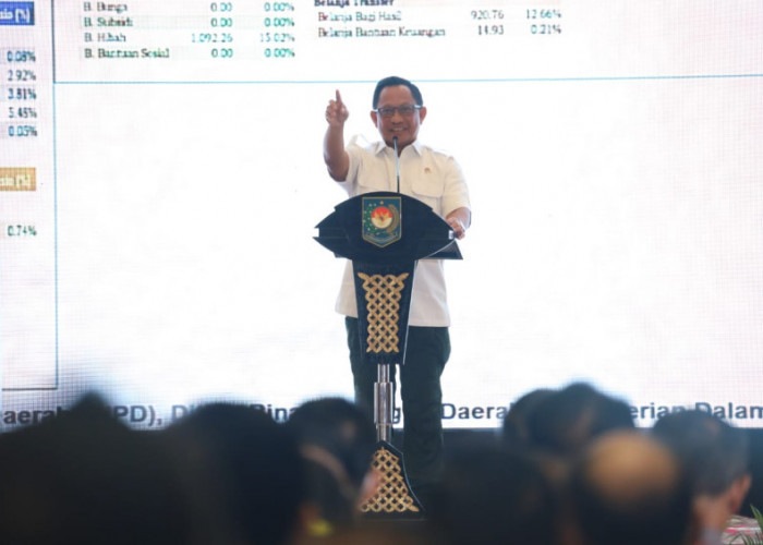 Tito Karnavian Minta APIP Perkuat Pengawasan Untuk Mencegah Pelanggaran