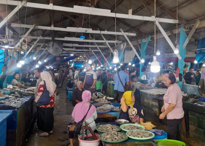 Hasil Tangkapan Menurun, Harga Ikan Laut di Pasar Gudang Lelang Tetap Stabil