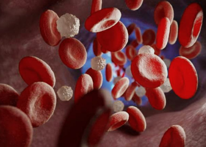 Berpuasa Ternyata Bisa Kontrol Gula Darah Hingga Mencegah Kanker? Begini Penjelasannya