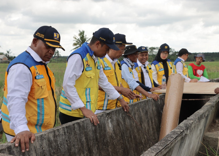 Kementerian PU Targetkan Irigasi Rawajitu Kembali Berfungsi Dua Pekan