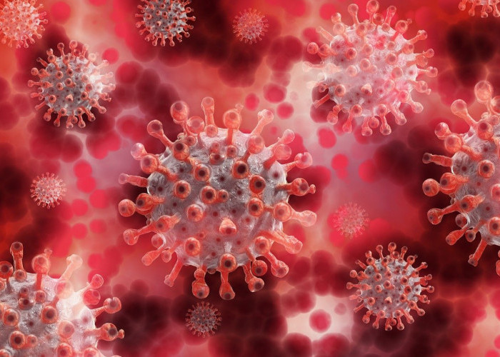 4 Tips Menguatkan Imun Tubuh Anak Agar Tidak Mudah Terkena Virus Flu Singapura