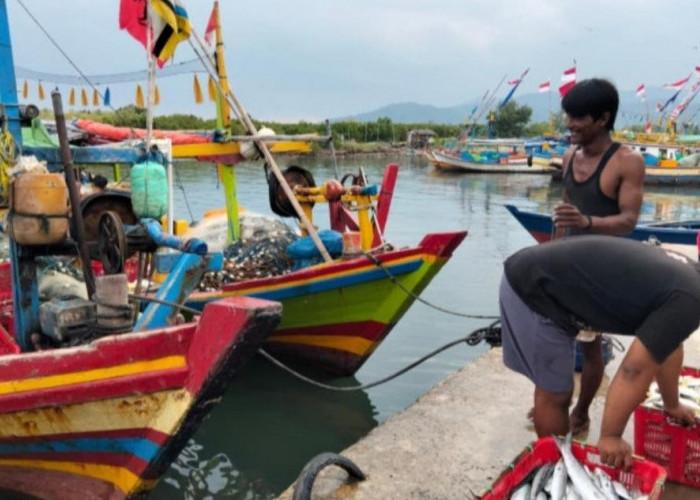 Dari 5-8 Juni 2026, BMKG Maritim Lampung Prediksi Peringatan Dini Gelombang Tinggi di Perairan