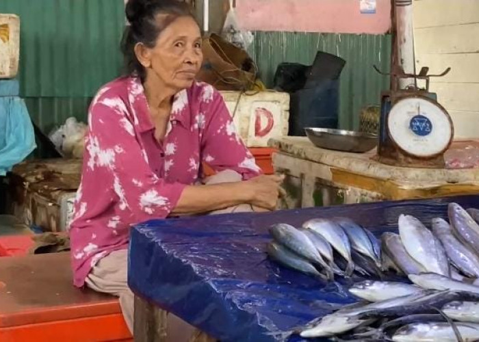 Kenaikan Harga Ikan di Pasar Gudang Lelang Tak Surutkan Minat Pembeli.