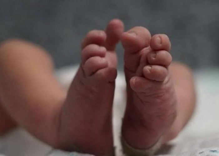 Soal Penemuan Mayat Bayi, LPA Pringsewu Beri Respons Ini 