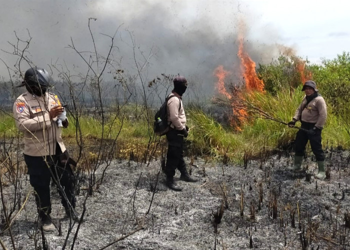 Dugaan Sementara, Ini Penyebab Kebakaran Taman Nasional Way Kambas  
