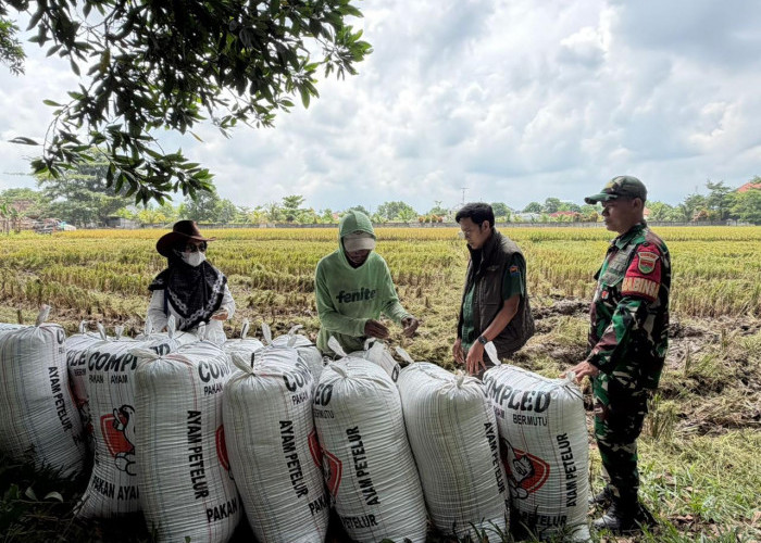 Cadangan Beras BULOG Lampung 200 Ribu Ton, Perkuat Ketahanan Pangan Nasional