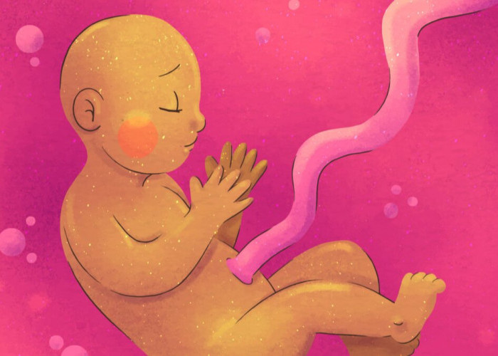 Heboh Kabar Bayi 'Hamil', Ternyata Diduga Alami Fetus In Fetu, Begini Penjelasan Ilmiahnya