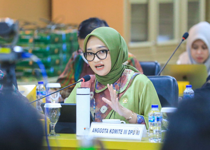 Rapat dengan Mendikbudristek, Senator Lampung : Pembayaran Gaji Guru Itu Hak