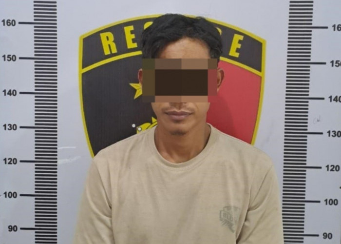 Diduga Curi Puluhan Tandan Buah Sawit di PT BNIL Blok 1, Pria Lampung Ini Ditangkap Polisi Way Kanan