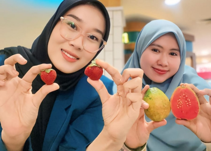 Guava Generatiom Menolak Stroberry Generation