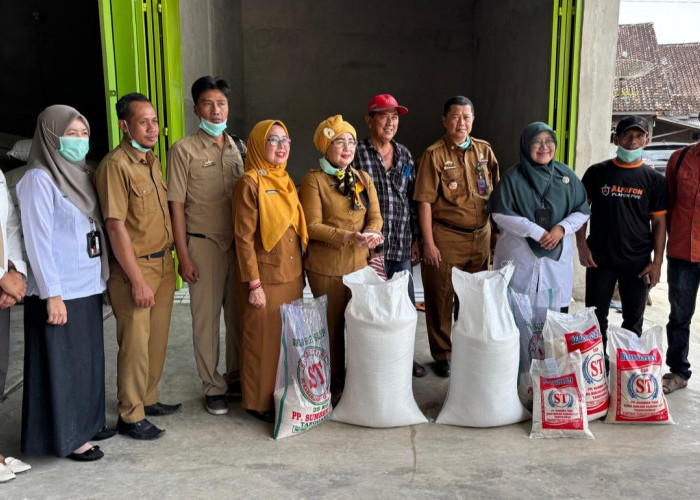 BPS - TPID Tanggamus Survei Konversi Gabah Beras 2025