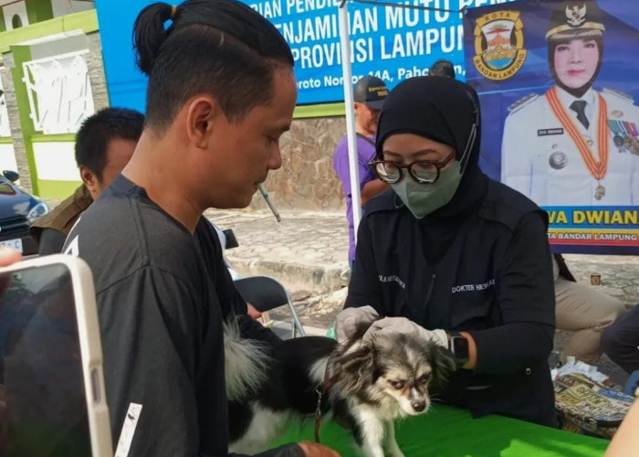 Catat Tanggalnya, Pemkot Bandar Lampung Sediakan Layanan Vaksinasi Rabies Gratis