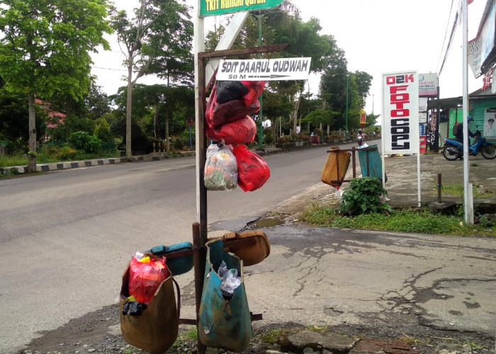 Dua Bulan Tidak Gajian, Petugas Kebersihan di Lampung Barat Lakukan Ini 