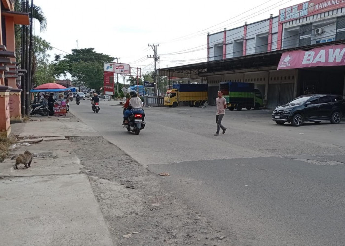 Warga Kota Metro Lampung Bersiaga Di Titik Lokasi Banjir 