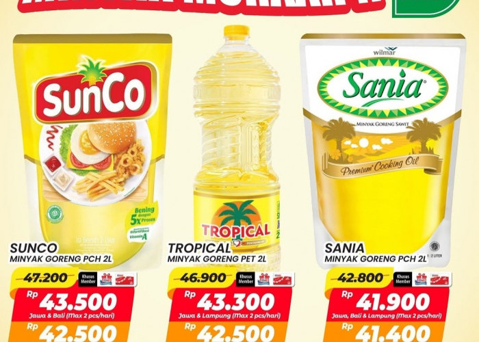 Banjir Diskon Minyak Goreng Tanpa Syarat di Alfamart, Ini Rincian Harganya