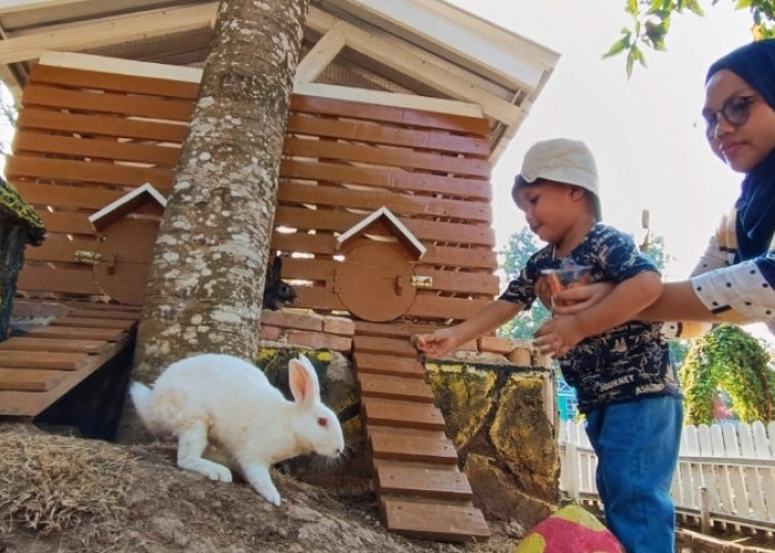 Dari Gym Activity hingga Jadi Anak Gembala di  Farm Day Lampung, Wisata Edukasi Lampung, Simak Keseruannya