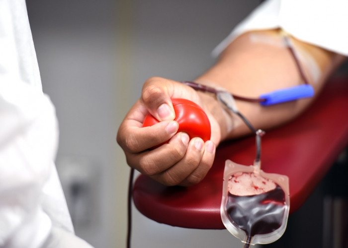 Stok Darah Menipis, PMI Bakal 'Hadiahkan' 5 Kg Beras Bagi yang Ingin Donor