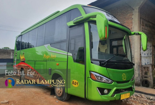Bandar Lampung Bakal Miliki Bus Angkutan Umum Baru, Berikut Ini Trayek yang Dilintasi
